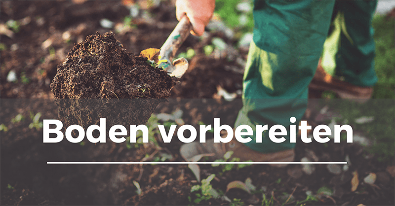 Bodenvorbereitung für Rasen Garten.Schule