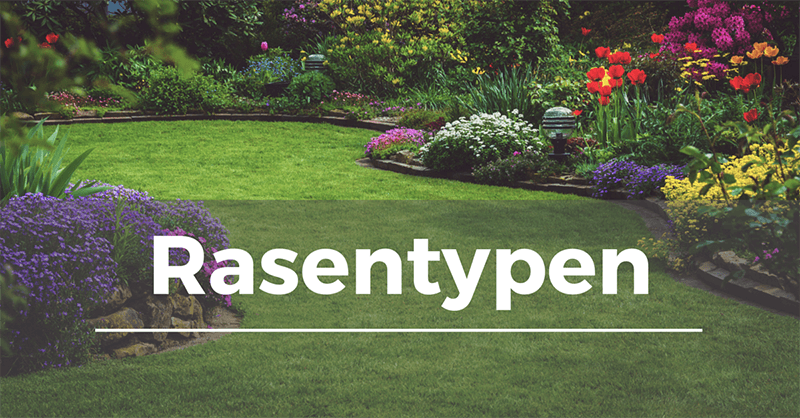 Header-Rasentypen