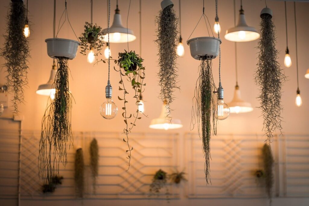 lights, decoration, nature, illuminated, interior design, plants, light bulbs, hanging plants, incandescent, lighting, interior decoration