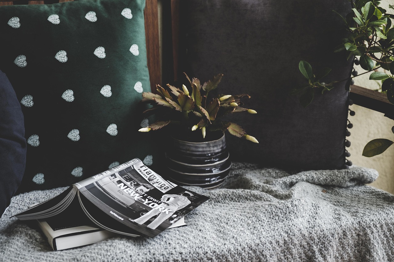 books, cozy, cushion, nature, plant, photography books, design, home, decoration, balcony, still life