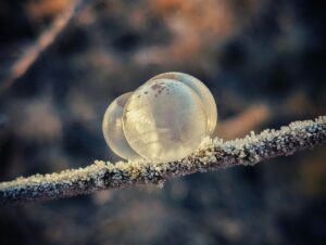 winter, snow, frost, cold, hoarfrost, nature, winter landscape, soap bubbles, tender, frozen, ice cream