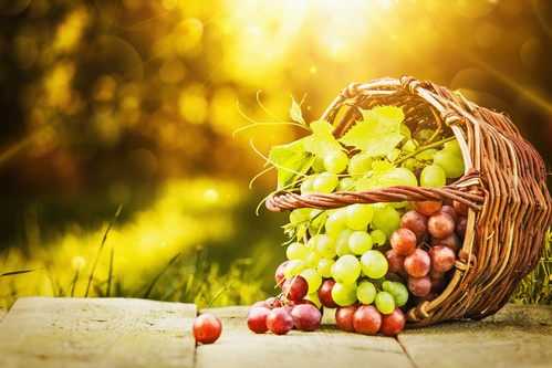 Green and red grapes