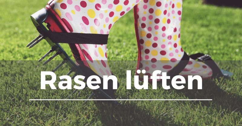 Rasen lüften - Garten.Schule