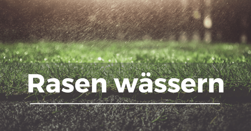 Lehmboden Rasen Wege Lehmboden Zu Losen 2019 12 13