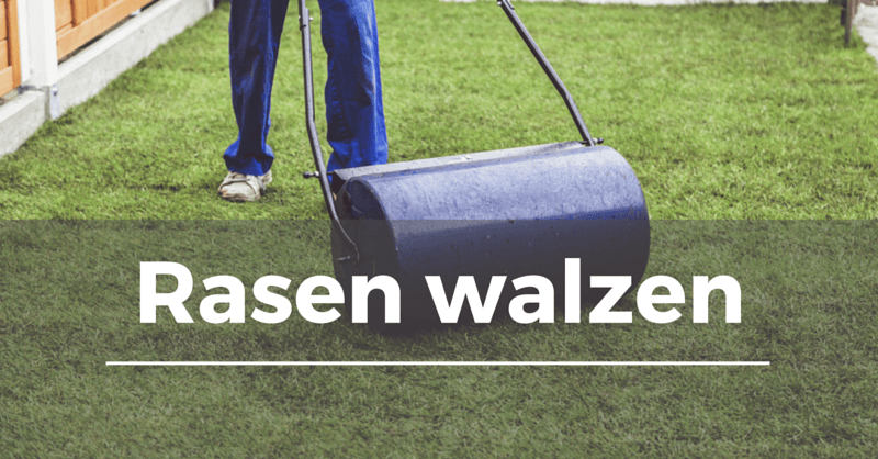 Rasen walzen Garten.Schule