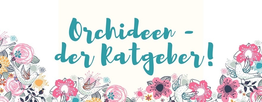 Orchideen Garten Schule
