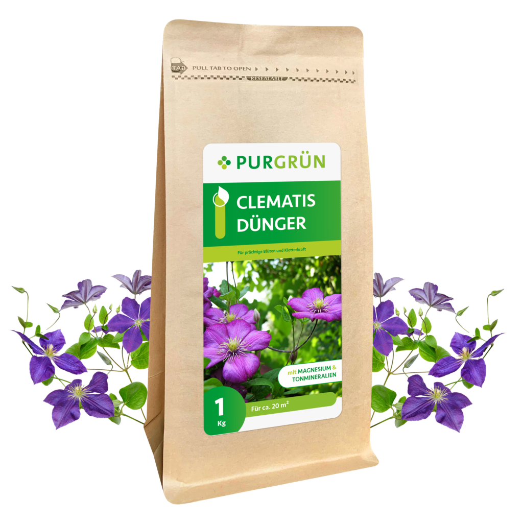 Purgrün Clematis-Dünger