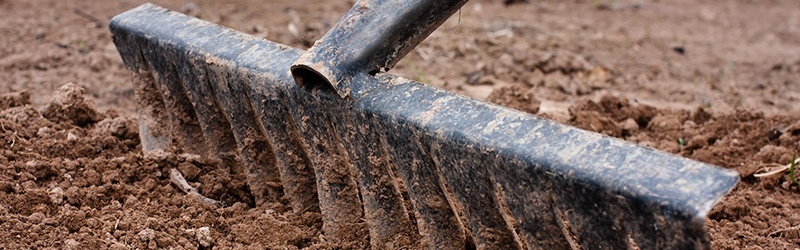 Saatbett_vorbereiten_