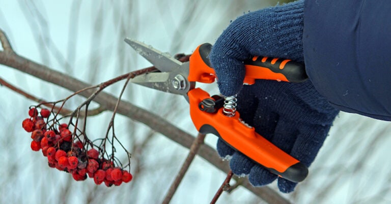 Die 3 Besten Arbeitshandschuhe für den Winter (2025) im Test!