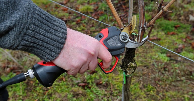 Die 4 Besten Elektrischen Gartenscheren (2025) Im Test!
