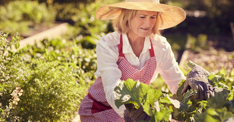 Die 3 Besten Garten Kniebänke (2025) Im Test!