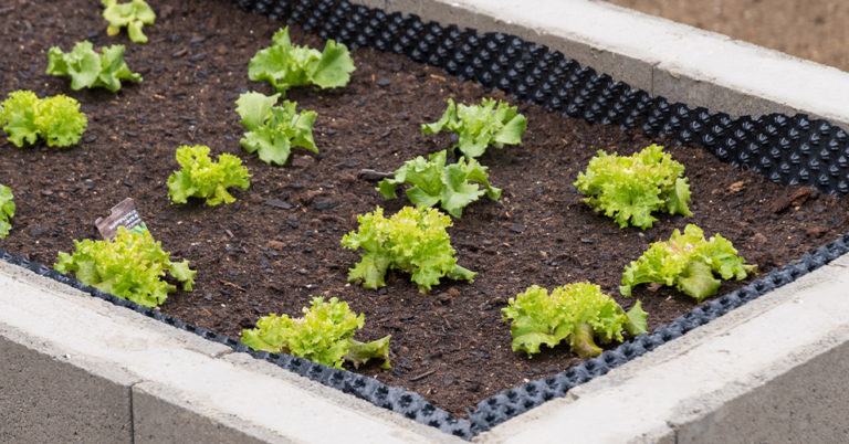 Die 3 Besten Gartenfolien (2025) Im Test!