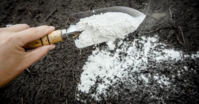 Die 3 Besten Gartenkalk Produkte(2025) Im Test!