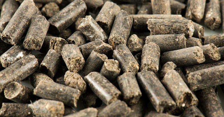 Die 4 Besten Schafwollpellets (2025) Im Test!