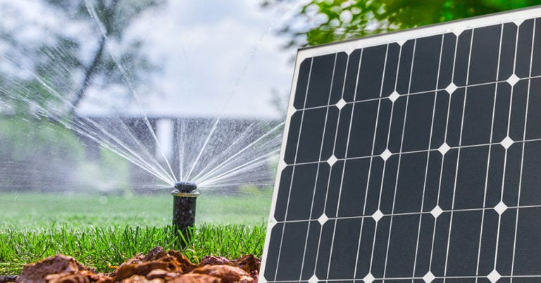 Die 3 Besten Solar Bewässerungen (2025) Im Test!