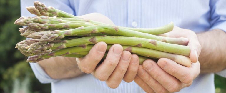 Die 3 Besten Spargel-Dünger (2025) Im Test!