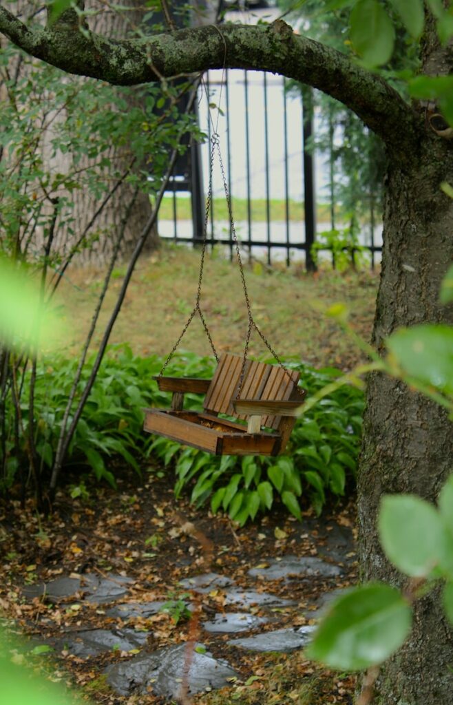 Wooden bird feeder hanging from a tree branch.