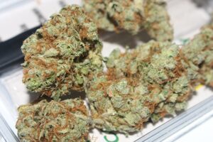 Hanfblüten THC CBD